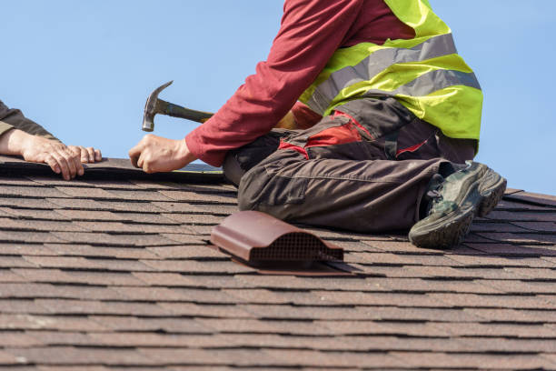 Best Roof Gutter Cleaning  in Woodsville, NH